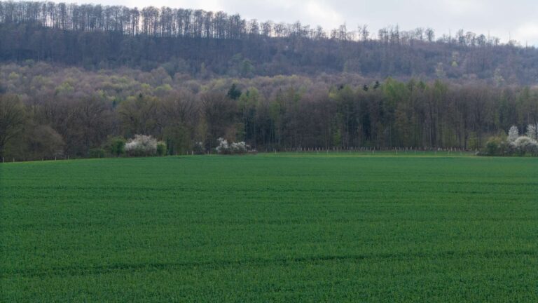 Land- und Forstwirtschaft