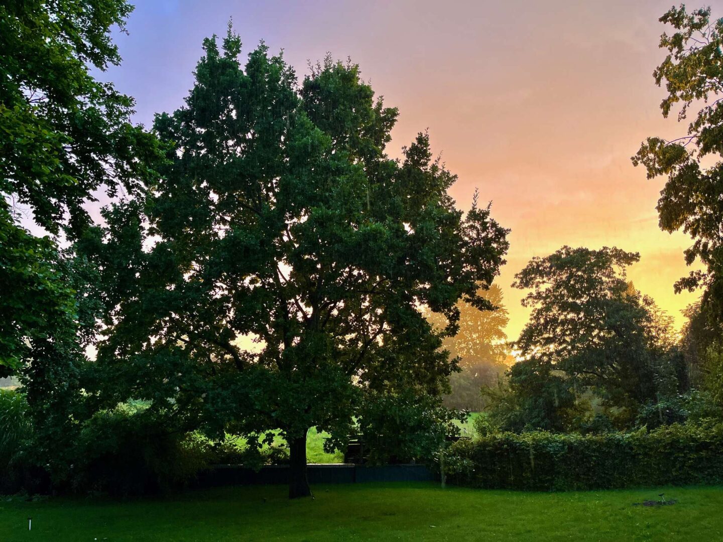Garten