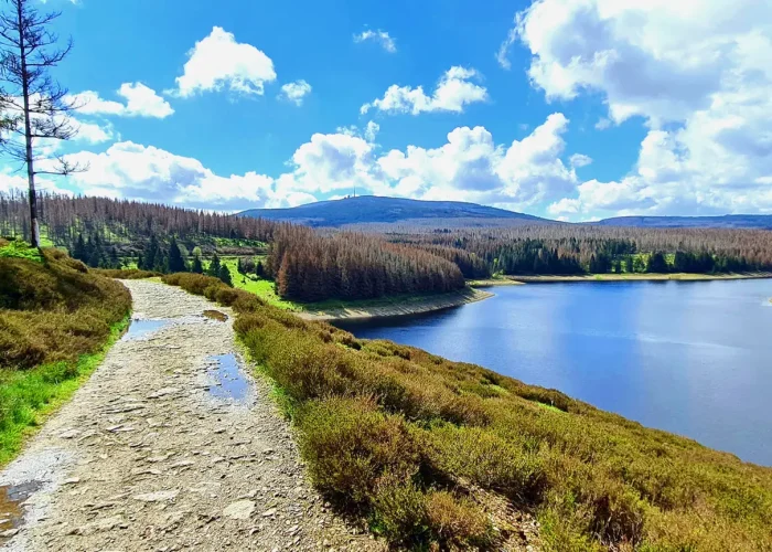Brocken mit Seeblick